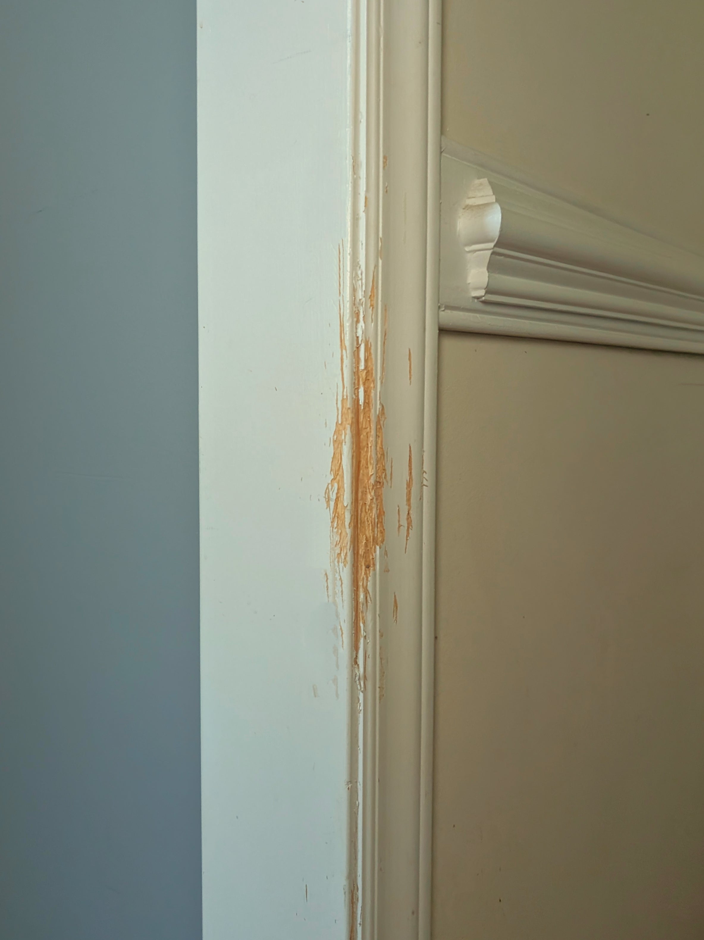 Wall with a door frame that has been scratched by a cat