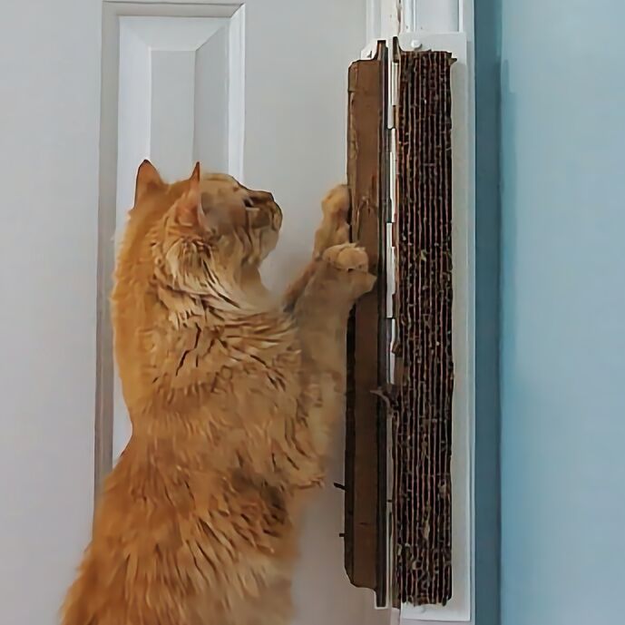 Orange cat scratching Jack's Scratcher attached to a door frame. 