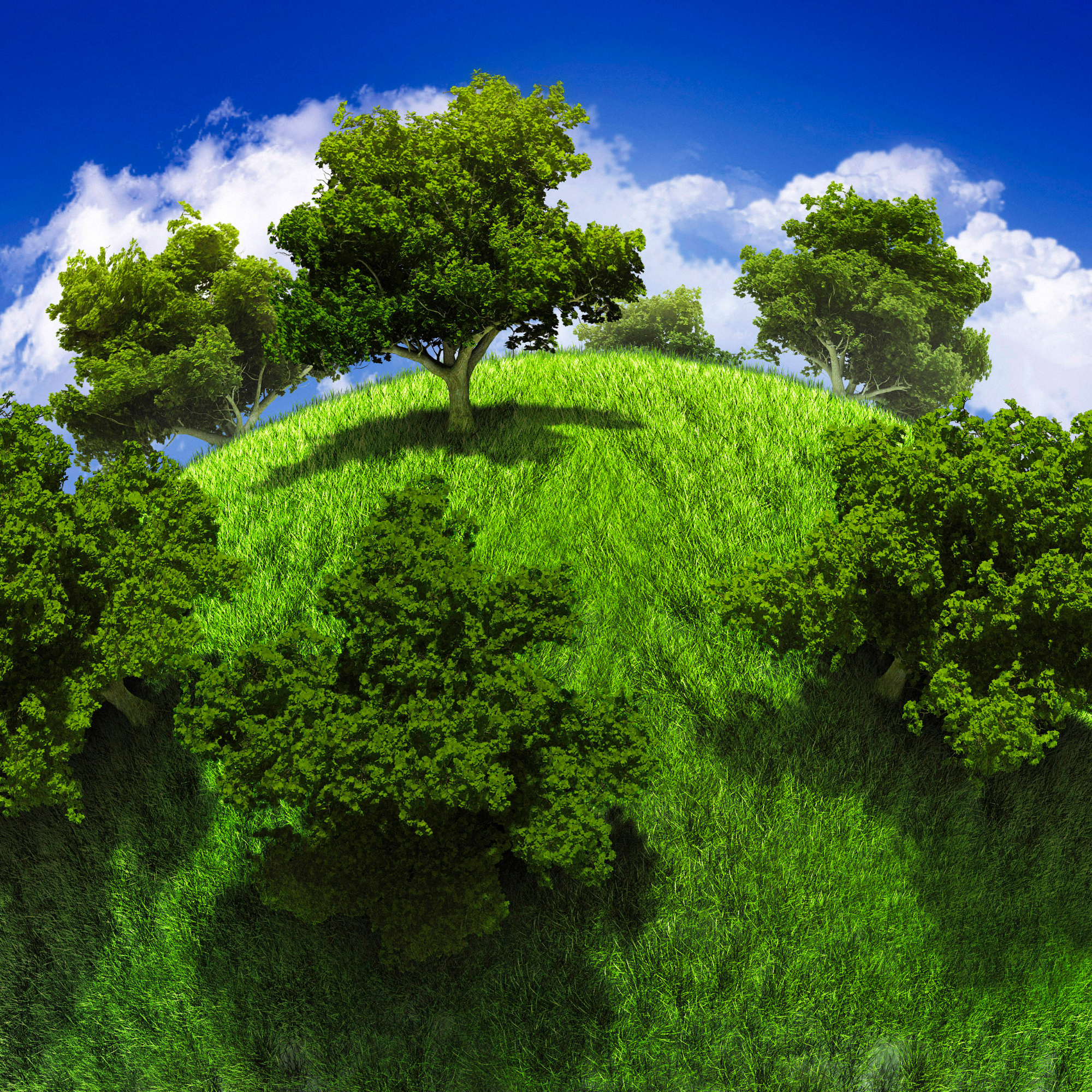 Green hill with trees under a blue sky