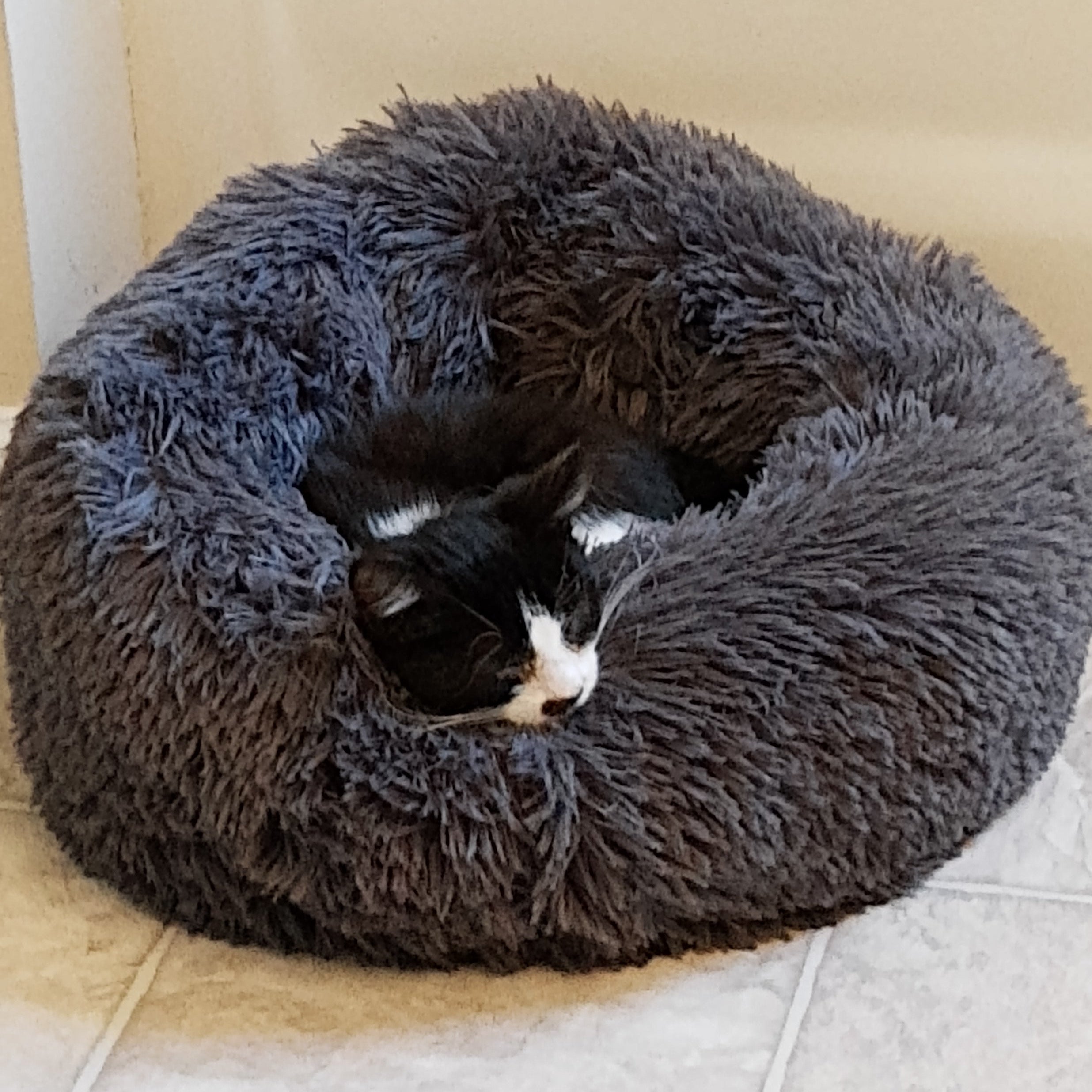 Cat sleeping in a fluffy gray donut bed 