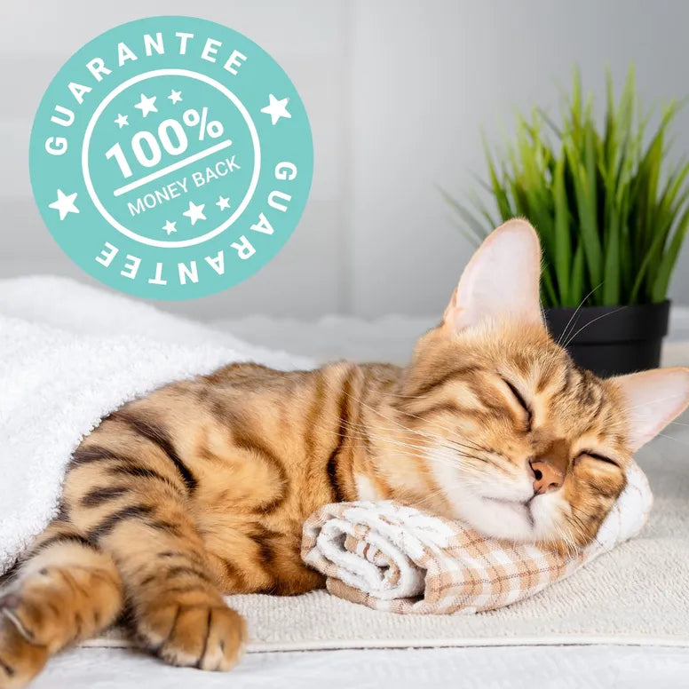 Cat laying down on a towel like it's at a spa.