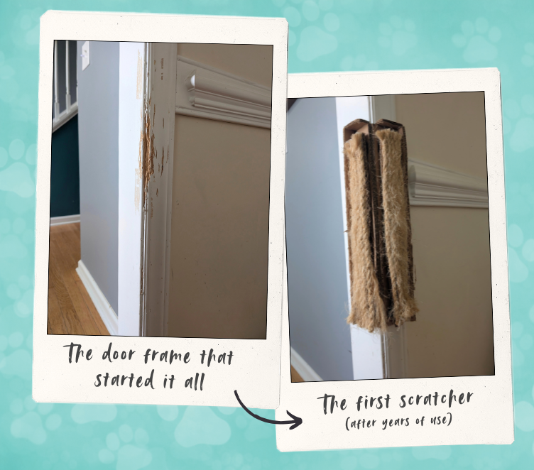 Two polaroid-style photos on a teal background showing a scratched interior door frame and a frayed sisal rope door scratcher, with handwritten captions linking the damage to years of cat use.