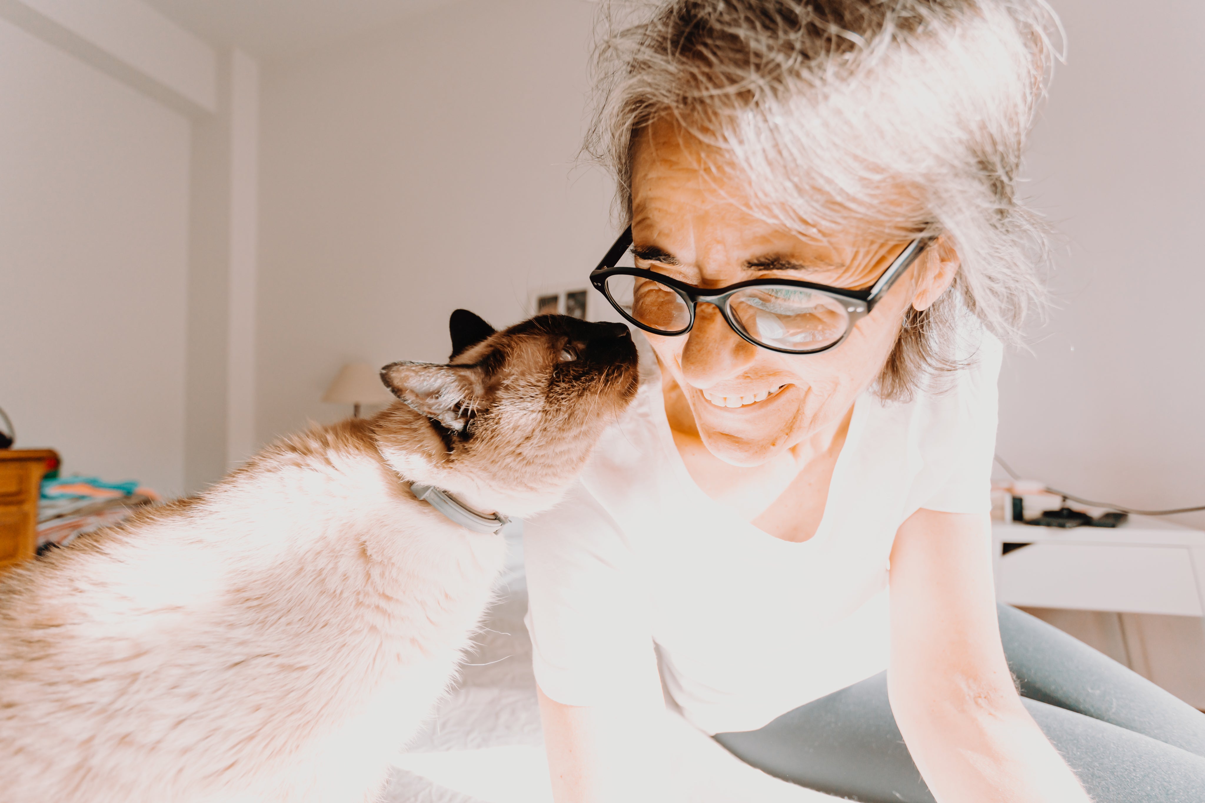 Cat reaching it's face towards a smiling woman with glasses.